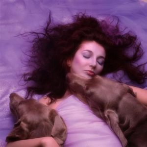 Kate Bush