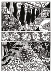 Space-Chameleons_compressed(1)-4