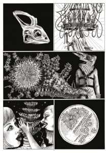 Space-Chameleons_compressed(1)-5